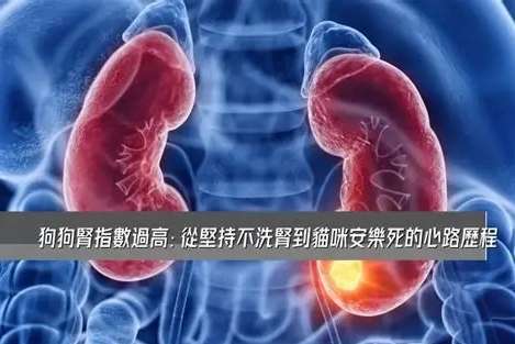 犬腎衰竭原因