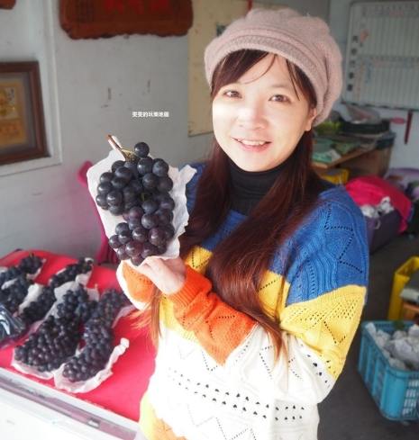 卓蘭水果季節 卓蘭水果季節