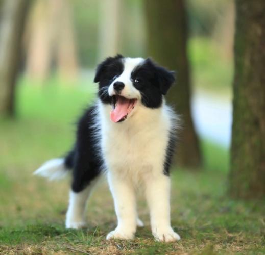 鉀離子過高症狀