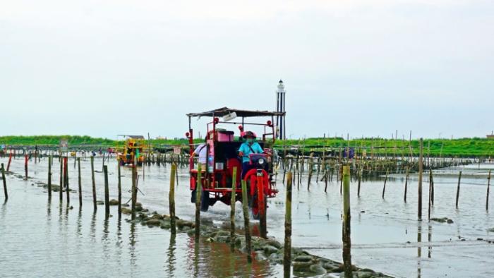 潮間帶生態旅遊 潮間帶生態旅遊