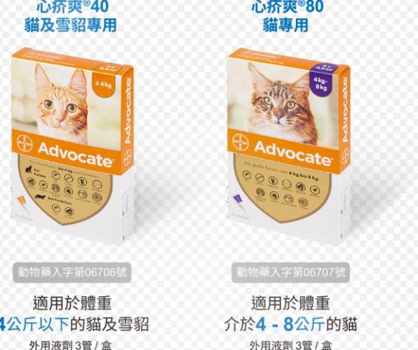 心絲蟲預防方法