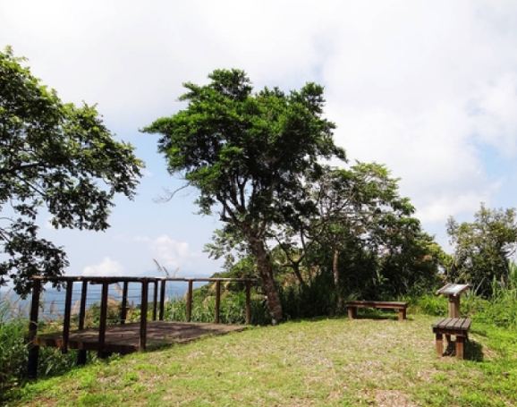 親山步道 親山步道