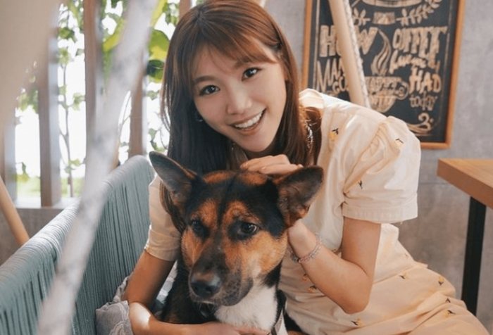 狗咬後心理創傷 狗咬後心理創傷