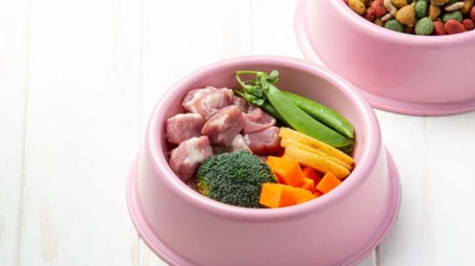 狗狗鮮食份量計算 狗狗鮮食份量計算