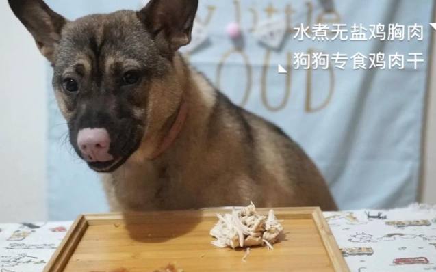 狗心營養 狗心營養