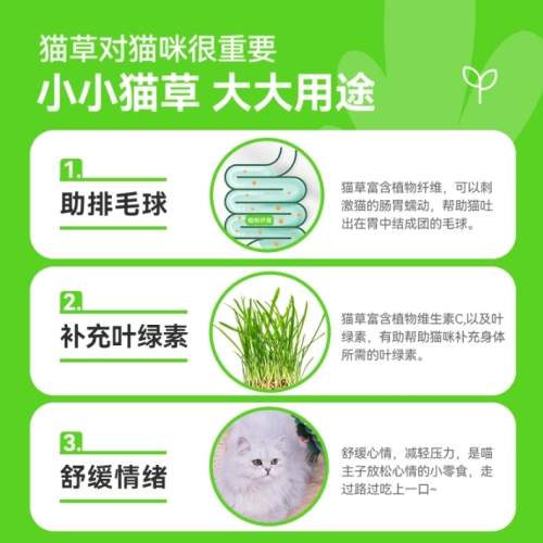 小麥草狗餵食方法