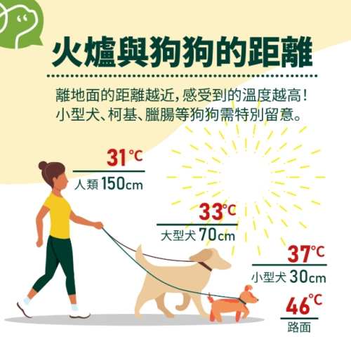 狗狗中暑症狀