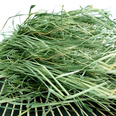 牧草一割二割比較