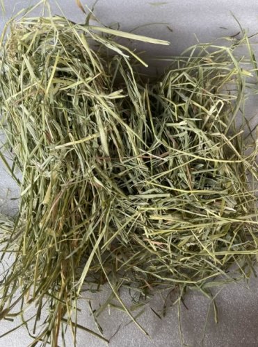 提摩西草收割差異