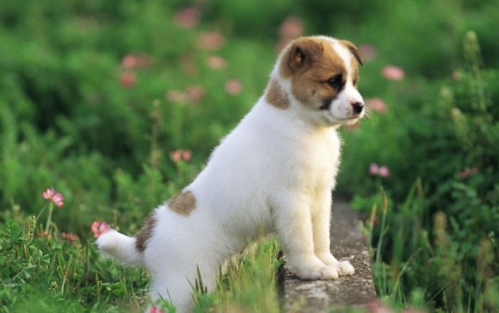 熱衰竭後遺症症狀