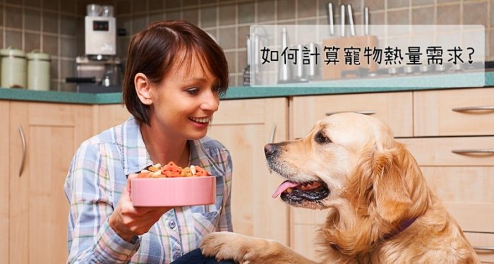 狗每日熱量