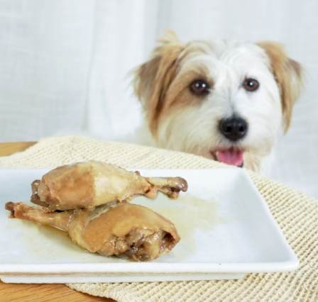 狗狗每日鮮食建議 狗狗每日鮮食建議