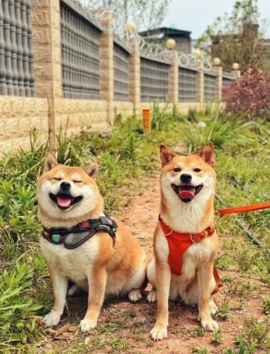 熱衰竭後遺症症狀