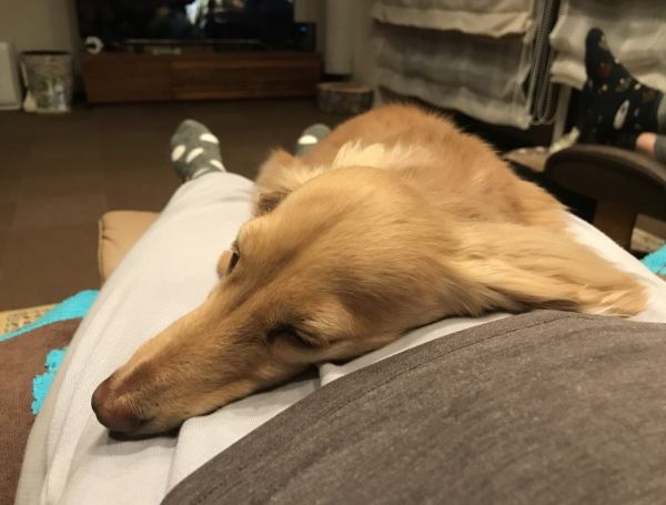 鮮食量計算方法