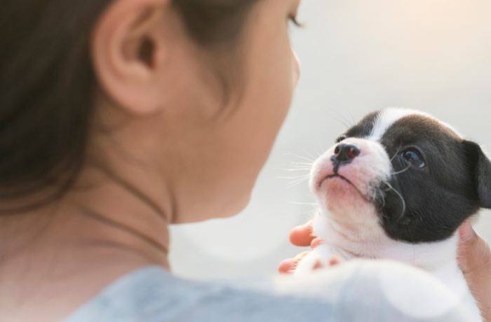 如何問寵物溝通師