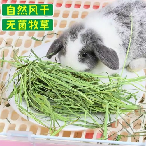 提摩西草營養價值