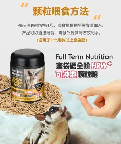 蜜袋鼯飼料推薦