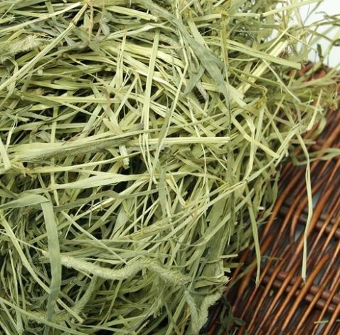 提摩西草收割差異