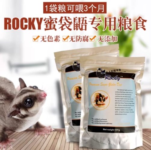 蜜袋鼯營養需求