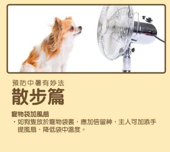 狗狗中暑症狀