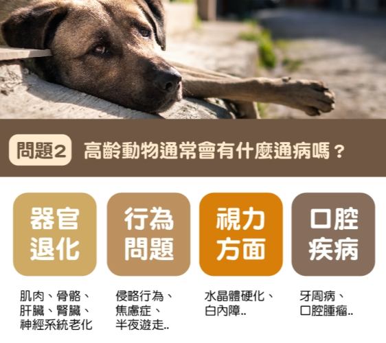 寵物生病行為溝通