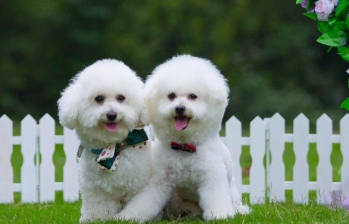 熱衰竭後遺症症狀