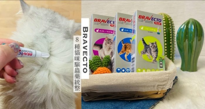 貓驅蟲藥推薦