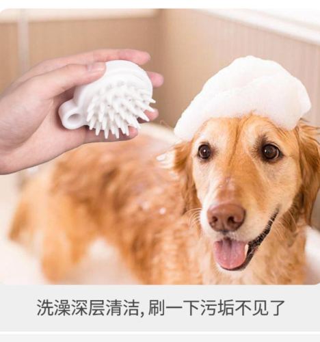 狗洗澡刷使用技巧
