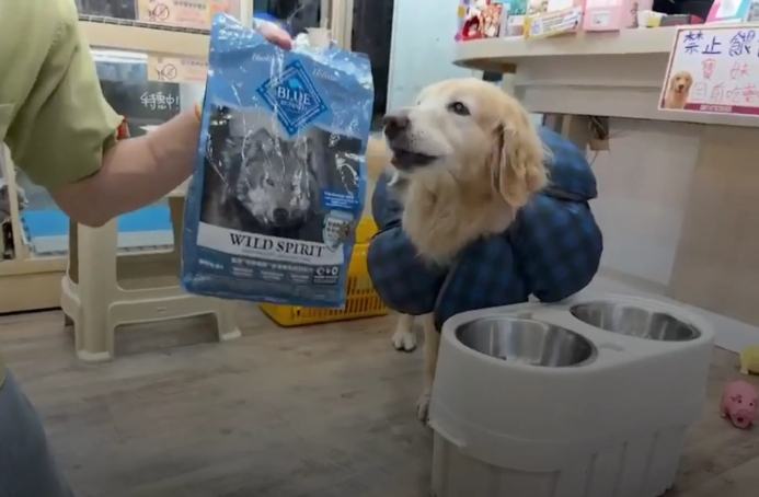 狗狗皮膚過敏飼料 狗狗皮膚過敏飼料