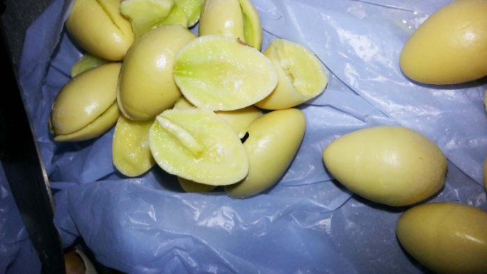 白果去芯技巧 白果去芯技巧