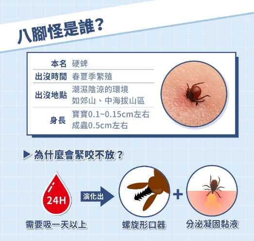 蜱蟲咬症狀全解析：如何識別、處理與預防叮咬後果