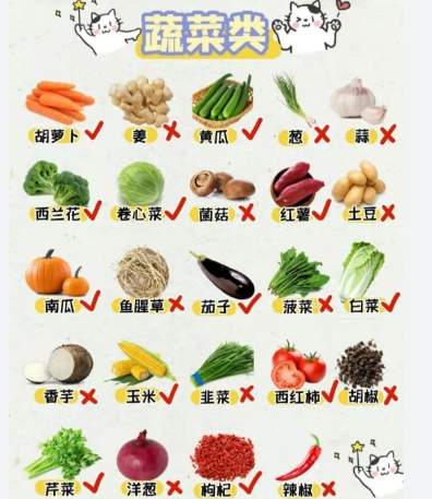 貓咪有毒蔬菜