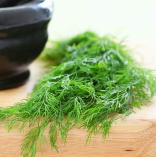 茴香用法 茴香用法