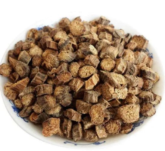 牛蒡狗 品牌推薦