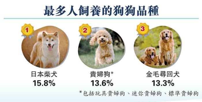 香港養寵物人口