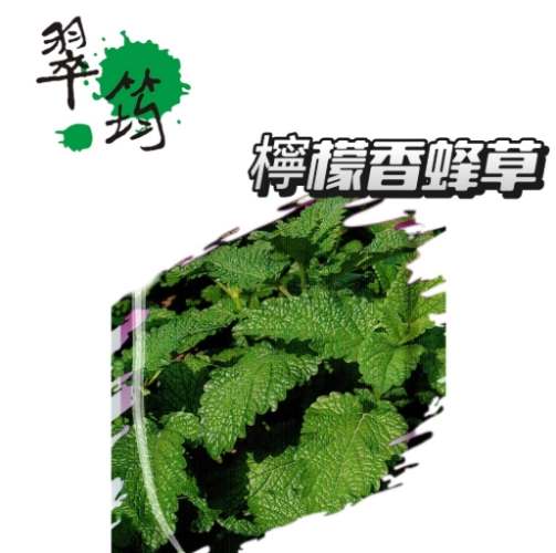 寵物天然護理
