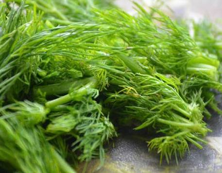 茴香功效 茴香功效