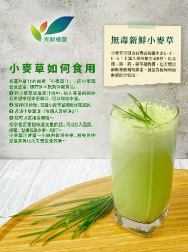 小麥草注意事項