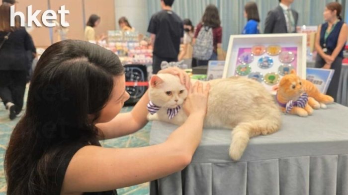 香港寵物飼養統計