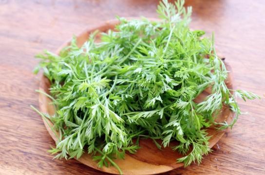 茴香用法 茴香用法