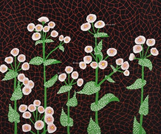 圓點女王作品 圓點女王作品