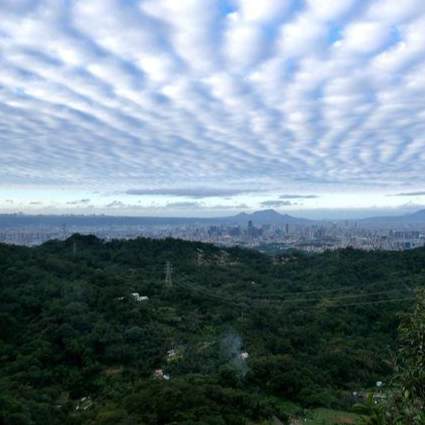 台北觀景路線 台北觀景路線