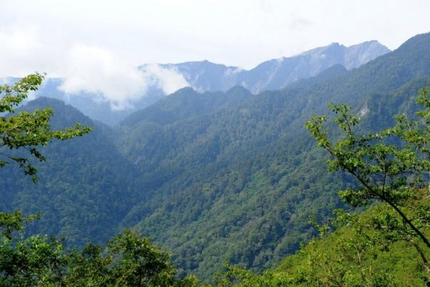花蓮登山步道 花蓮登山步道