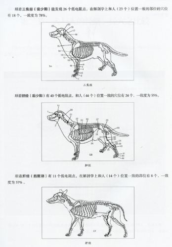 狗前庭炎治療 狗前庭炎治療