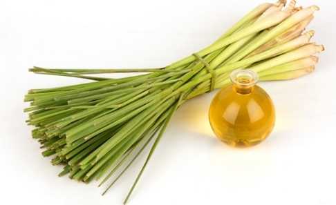 香茅油安全使用