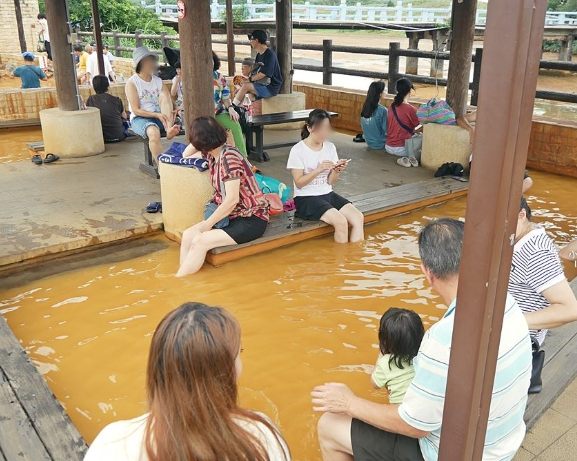 陽金公路溫泉 陽金公路溫泉