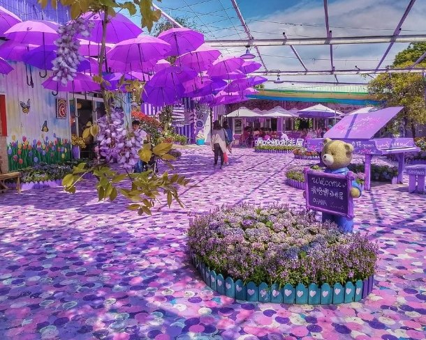 苗栗咖啡廳旅遊