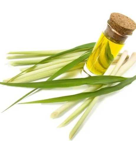 香茅油功效