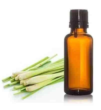 香茅油對貓咪影響 香茅油對貓咪影響