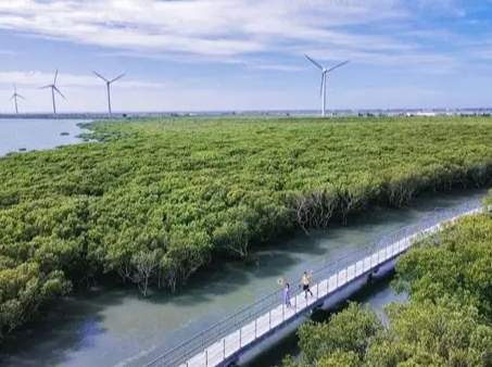 王功潮間帶步道